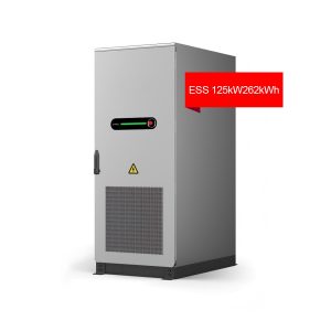 125kW / 262kWh IP55 Outdoor Energy Storage System with Liquid Cooling